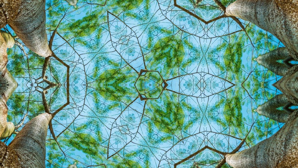 Abstract image showing trees as if viewed through a kaleidoscope