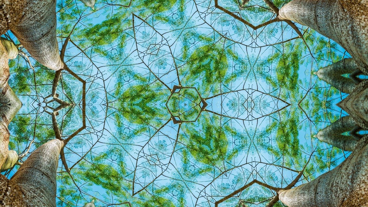 Abstract image showing trees as if viewed through a kaleidoscope